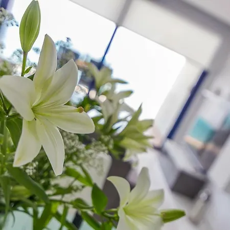 Sea Senses Frente Al Mar *