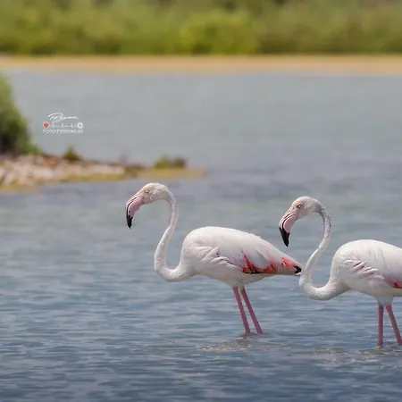 Appartement Sea Senses Frente Al Mar Torrevieja